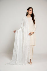 1 Piece Chiffon Dupatta (AA5423)